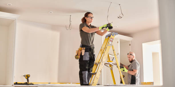 Best Electrician for Home Renovation  in Edinburg, IL