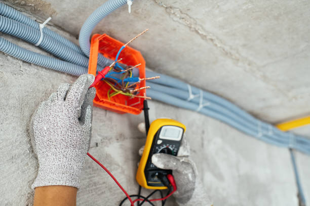 Best Local Electrician Companies  in Edinburg, IL